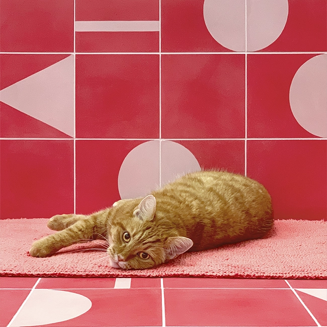 vibrant-fuchsia-pink-cement-tiles-bathroom-floor-bathtub